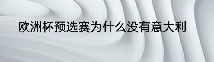 欧洲杯预选赛为什么没有意大利