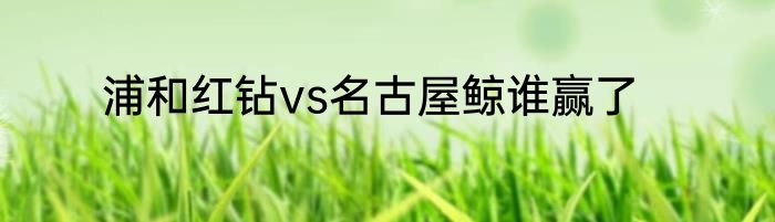 浦和红钻vs名古屋鲸谁赢了