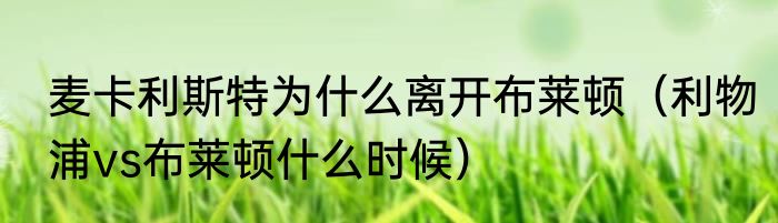 麦卡利斯特为什么离开布莱顿（利物浦vs布莱顿什么时候）