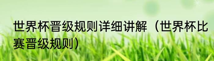 世界杯晋级规则详细讲解（世界杯比赛晋级规则）