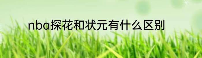 nba探花和状元有什么区别