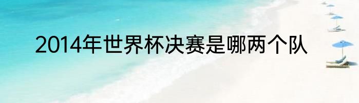 2014年世界杯决赛是哪两个队