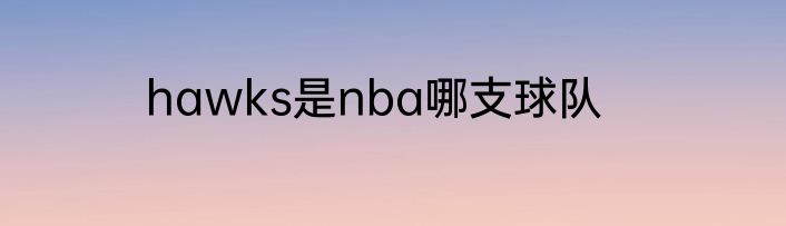 hawks是nba哪支球队