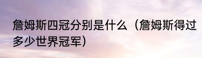詹姆斯四冠分别是什么（詹姆斯得过多少世界冠军）