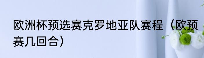 欧洲杯预选赛克罗地亚队赛程（欧预赛几回合）