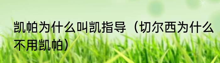 凯帕为什么叫凯指导（切尔西为什么不用凯帕）