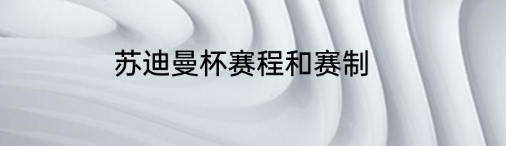 苏迪曼杯赛程和赛制