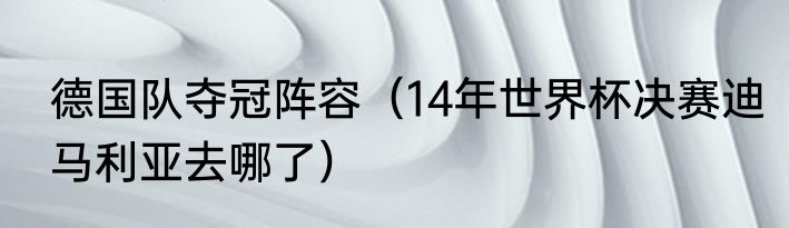 德国队夺冠阵容（14年世界杯决赛迪马利亚去哪了）