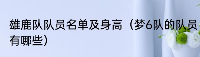 雄鹿队队员名单及身高（梦6队的队员有哪些）