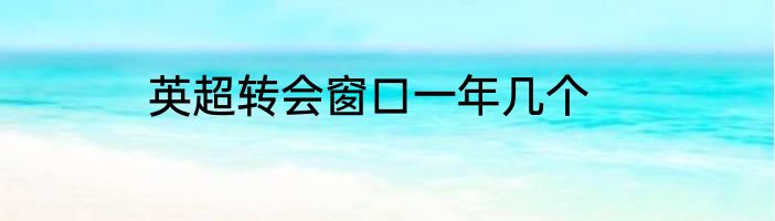 英超转会窗口一年几个