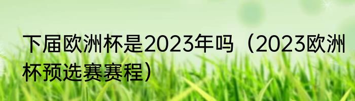 下届欧洲杯是2023年吗（2023欧洲杯预选赛赛程）