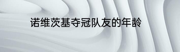 诺维茨基夺冠队友的年龄