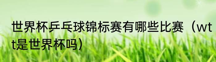 世界杯乒乓球锦标赛有哪些比赛（wtt是世界杯吗）