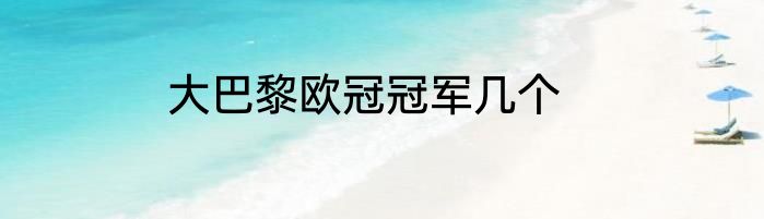 大巴黎欧冠冠军几个