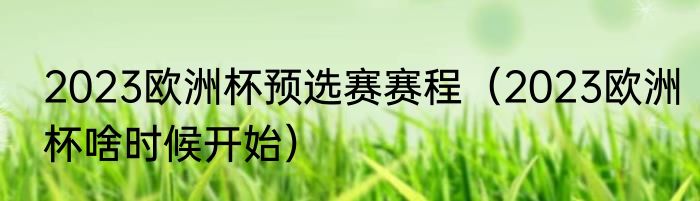 2023欧洲杯预选赛赛程（2023欧洲杯啥时候开始）