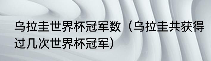 乌拉圭世界杯冠军数（乌拉圭共获得过几次世界杯冠军）