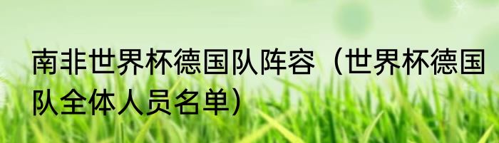 南非世界杯德国队阵容（世界杯德国队全体人员名单）