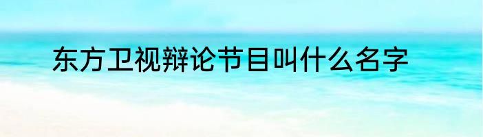 东方卫视辩论节目叫什么名字