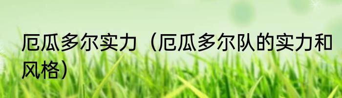 厄瓜多尔实力（厄瓜多尔队的实力和风格）