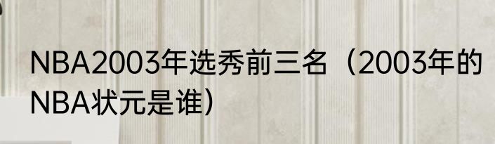 NBA2003年选秀前三名（2003年的NBA状元是谁）