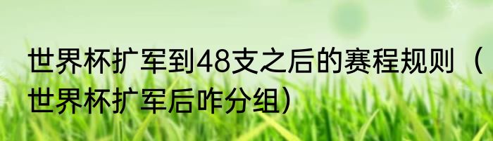 世界杯扩军到48支之后的赛程规则（世界杯扩军后咋分组）