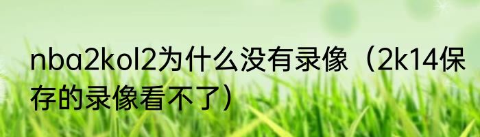 nba2kol2为什么没有录像（2k14保存的录像看不了）