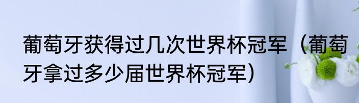 葡萄牙获得过几次世界杯冠军(葡萄牙拿过多少届世界杯冠军)