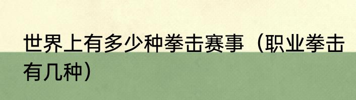 世界上有多少种拳击赛事（职业拳击有几种）