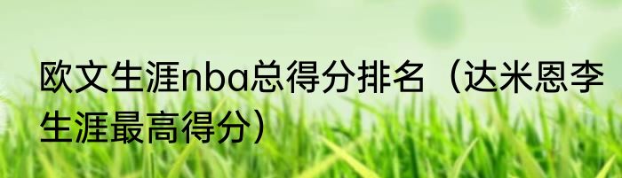 欧文生涯nba总得分排名（达米恩李生涯最高得分）