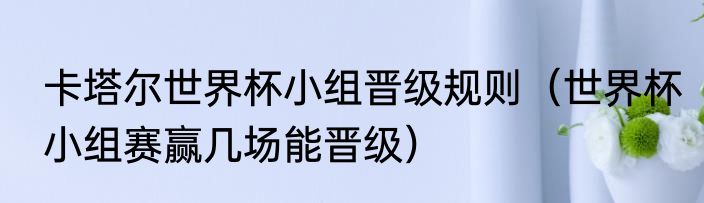卡塔尔世界杯小组晋级规则（世界杯小组赛赢几场能晋级）