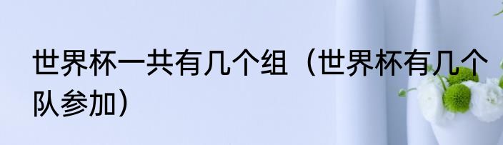 世界杯一共有几个组（世界杯有几个队参加）