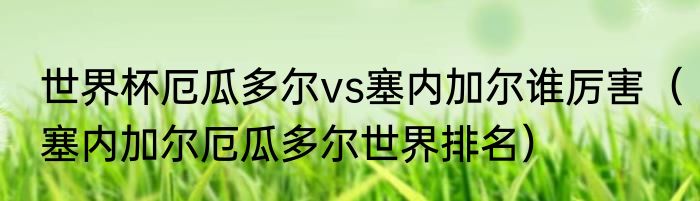世界杯厄瓜多尔vs塞内加尔谁厉害（塞内加尔厄瓜多尔世界排名）