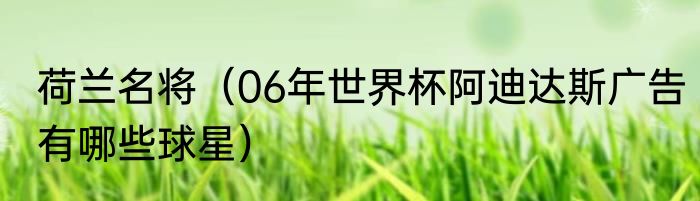 荷兰名将（06年世界杯阿迪达斯广告有哪些球星）