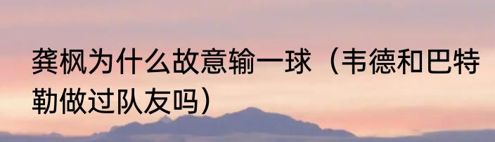 龚枫为什么故意输一球（韦德和巴特勒做过队友吗）