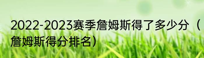 2022-2023赛季詹姆斯得了多少分（詹姆斯得分排名）