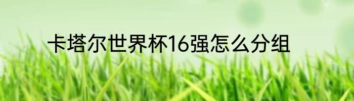 卡塔尔世界杯16强怎么分组