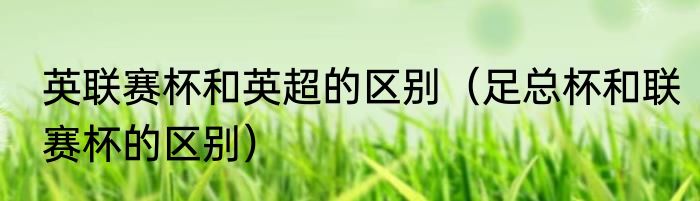 英联赛杯和英超的区别（足总杯和联赛杯的区别）