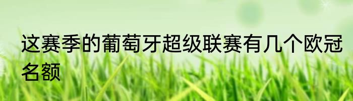 这赛季的葡萄牙超级联赛有几个欧冠名额