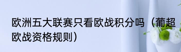 欧洲五大联赛只看欧战积分吗（葡超欧战资格规则）