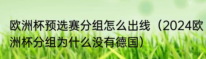 欧洲杯预选赛分组怎么出线（2024欧洲杯分组为什么没有德国）