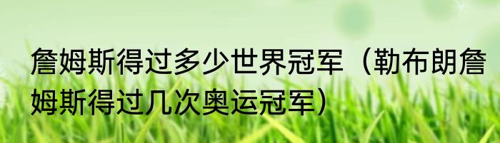 詹姆斯得过多少世界冠军（勒布朗詹姆斯得过几次奥运冠军）