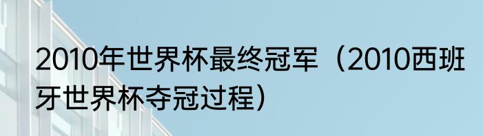 2010年世界杯最终冠军（2010西班牙世界杯夺冠过程）