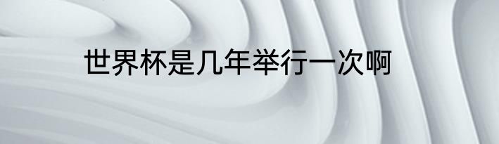 世界杯是几年举行一次啊