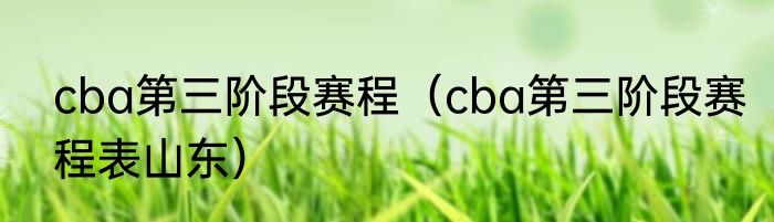 cba第三阶段赛程（cba第三阶段赛程表山东）