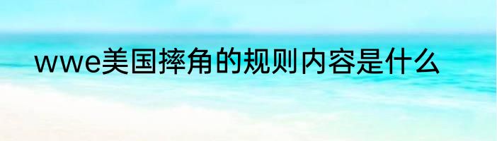 wwe美国摔角的规则内容是什么