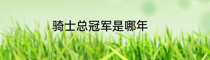 骑士总冠军是哪年