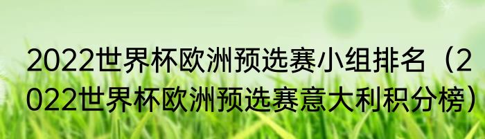 2022世界杯欧洲预选赛小组排名（2022世界杯欧洲预选赛意大利积分榜）