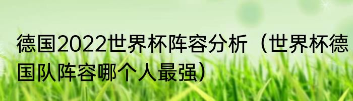 德国2022世界杯阵容分析（世界杯德国队阵容哪个人最强）