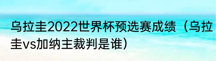 乌拉圭2022世界杯预选赛成绩（乌拉圭vs加纳主裁判是谁）