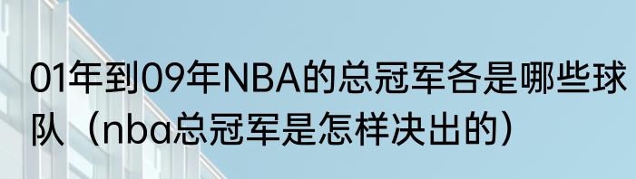 01年到09年NBA的总冠军各是哪些球队（nba总冠军是怎样决出的）